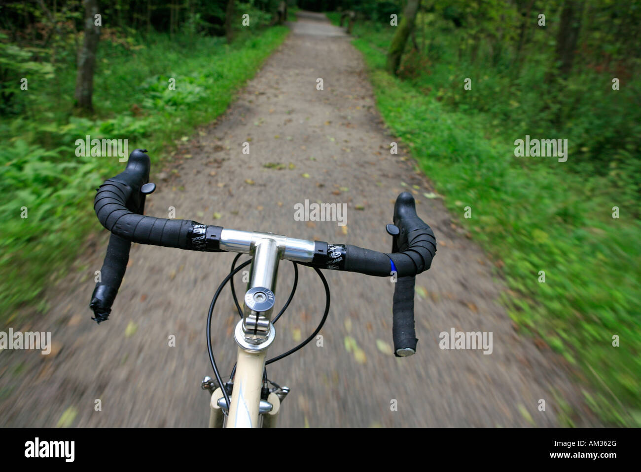Vélo de course sur une piste forestière, Wohldorfer Wald, Hambourg, Allemagne Banque D'Images