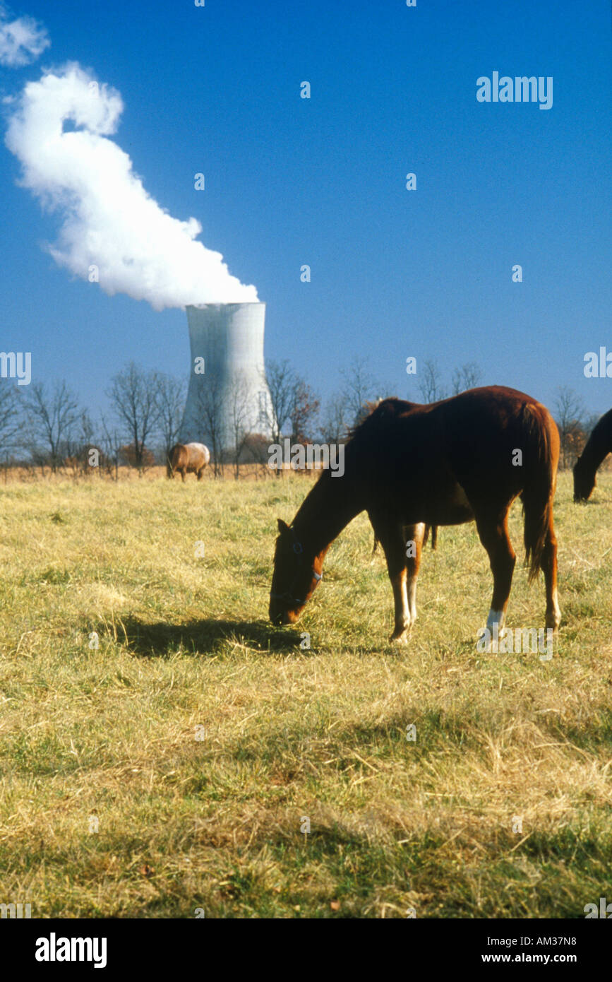 Cheval devant une centrale nucléaire Banque D'Images