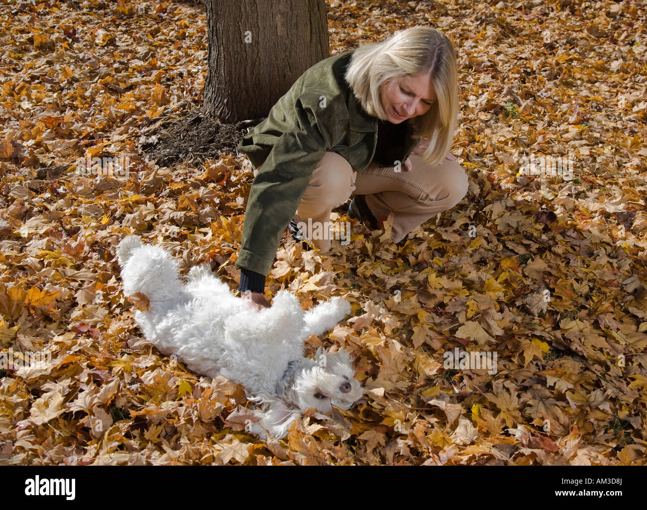 Femme avec son chien Banque D'Images