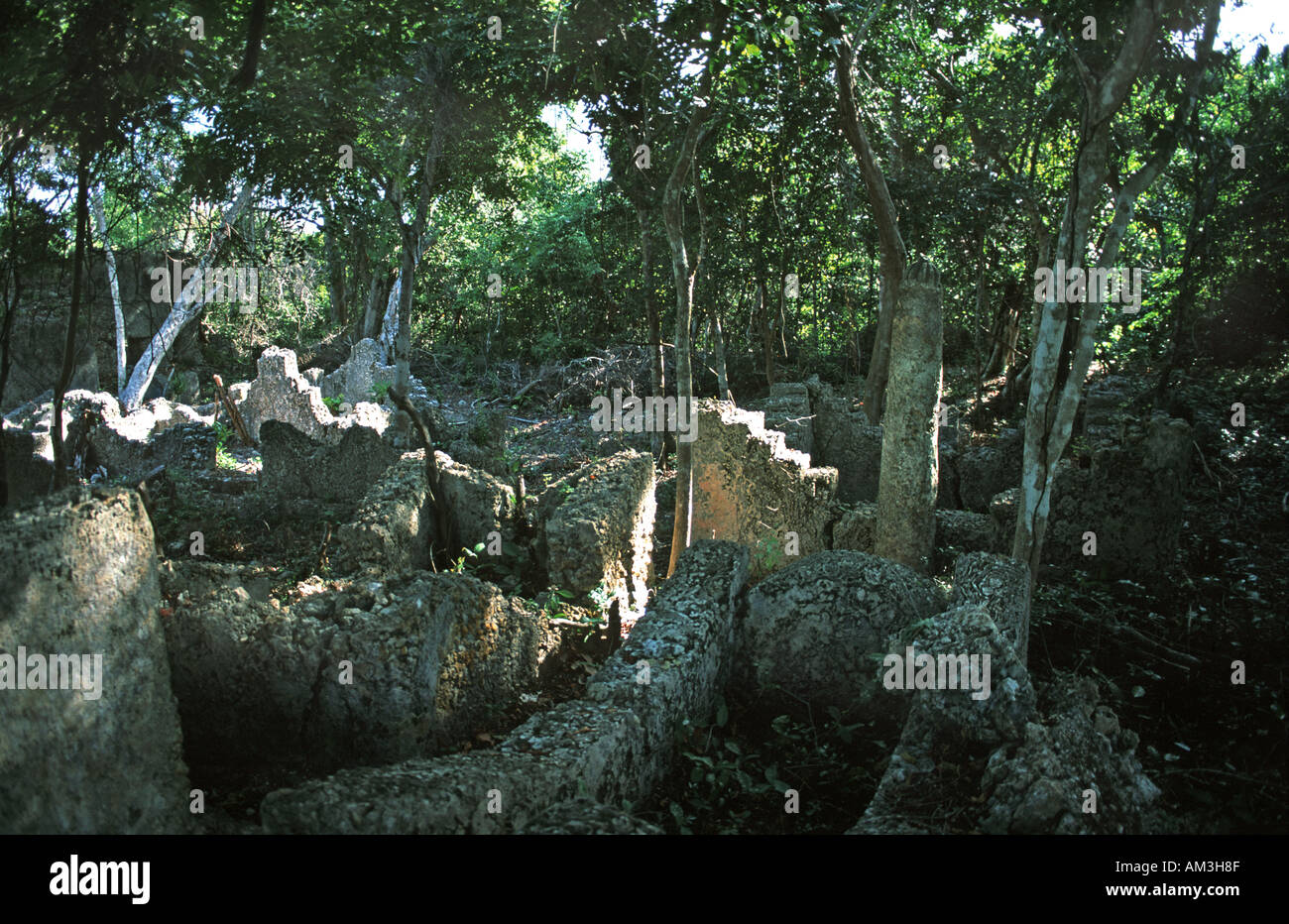 Abandonné et envahi par l'effritement des tombes dans les motifs d'une mosquée font partie des ruines de Kua sur Joani Mafia Island Tanzanie Banque D'Images