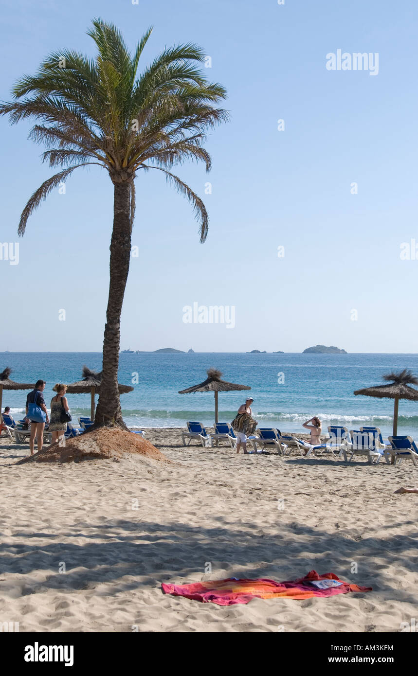 Serviette de plage à l'ombre d'un palmier sur la plage Platja d'en Bossa, Ibiza Banque D'Images