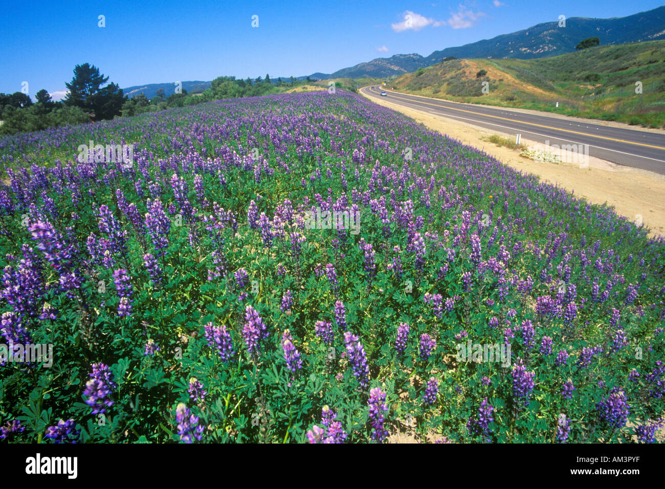 154 route de Santa Barbara CA Banque D'Images