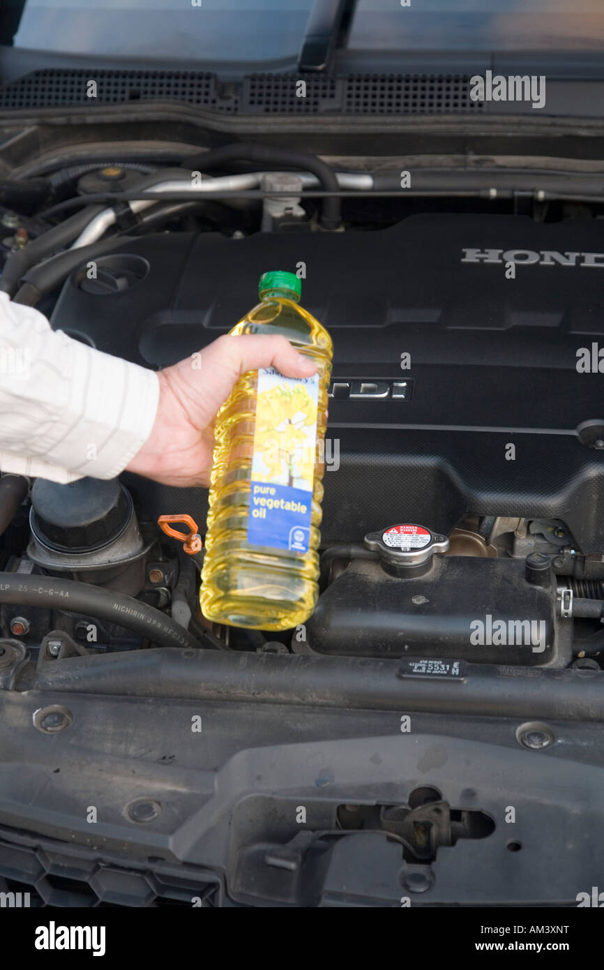 La main gauche de l'homme tenant une bouteille d'huile végétale dans  l'avant du moteur de voiture diesel Photo Stock - Alamy