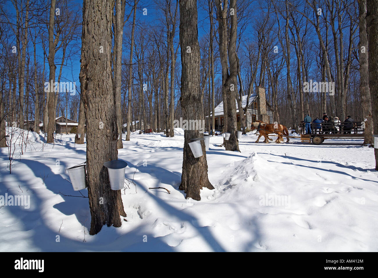 Le Canada, la Province du Québec, Région Montréal, Rigaud, La Sucrerie de la montagne, cabane à sucre l'arrivée avec l'élévateur Banque D'Images