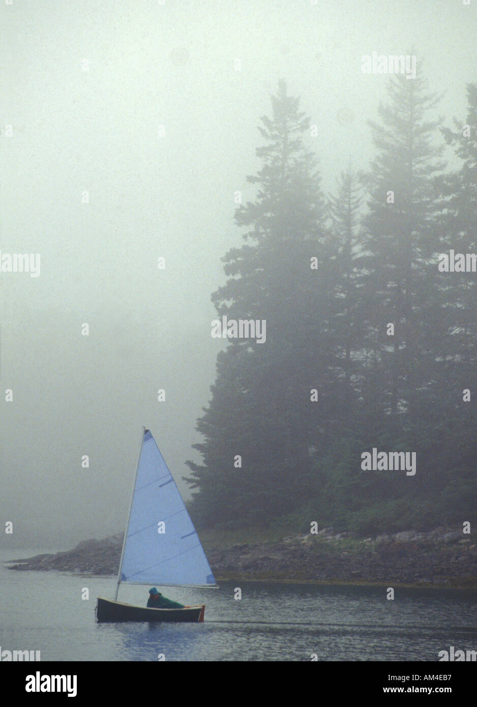Une femme voile un canot dans le Maine le brouillard Banque D'Images