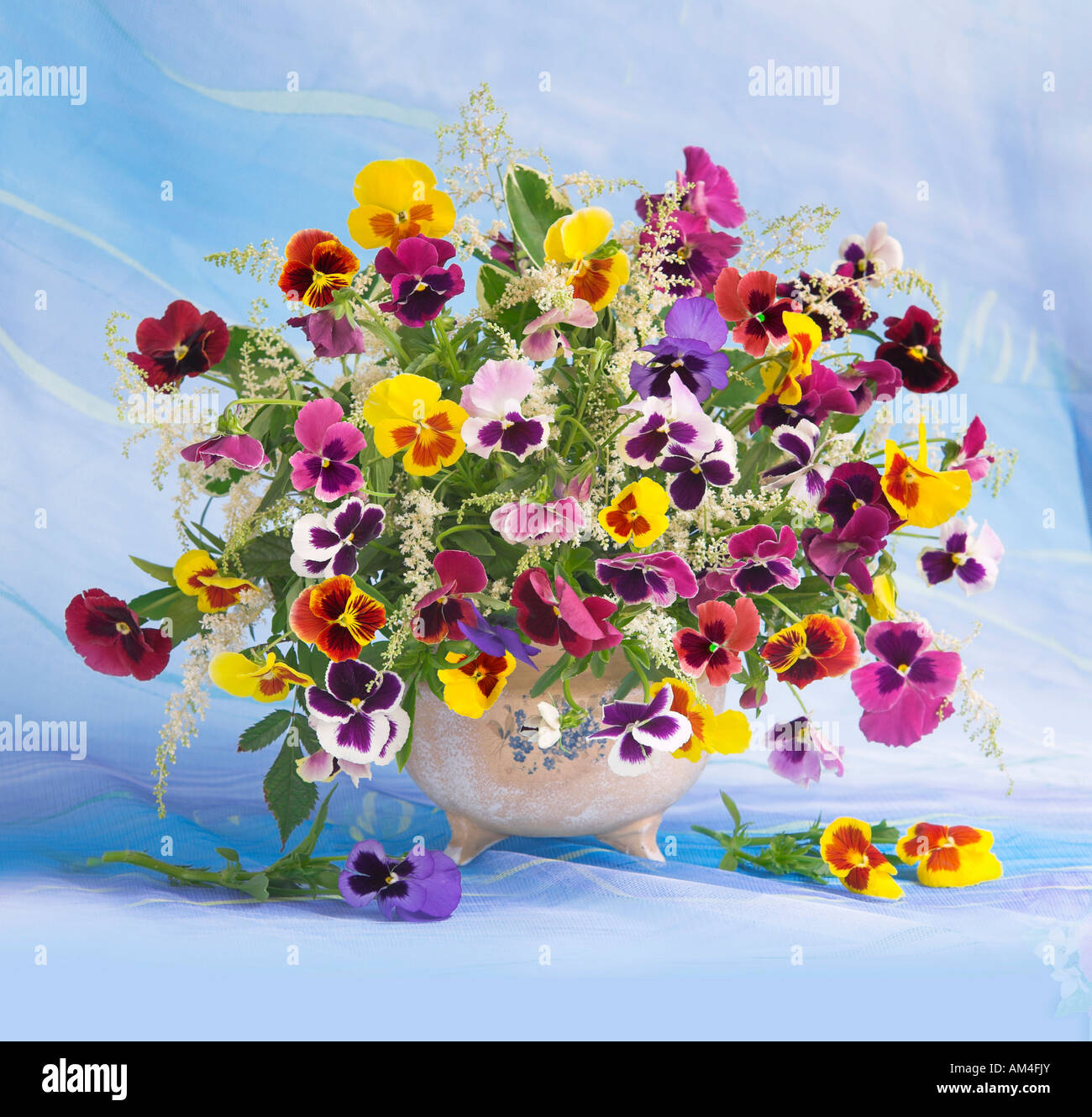 Bouquet coloré organisé Studio bouquet de fleurs de printemps pensées fleurs dans un vase sur un fond bleu pastel Banque D'Images