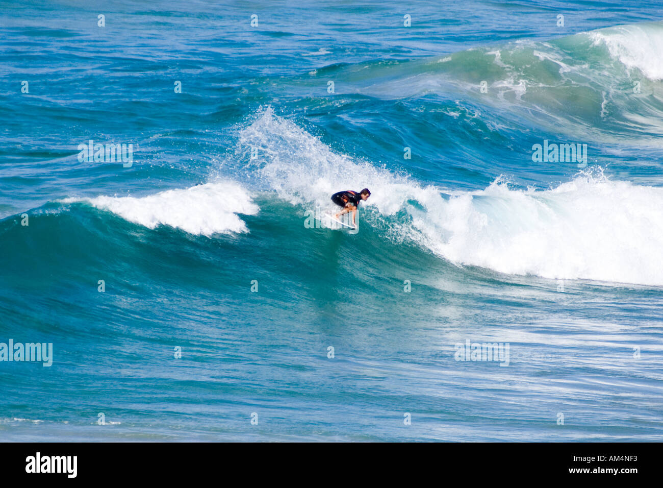 Vague surfeur Banque D'Images