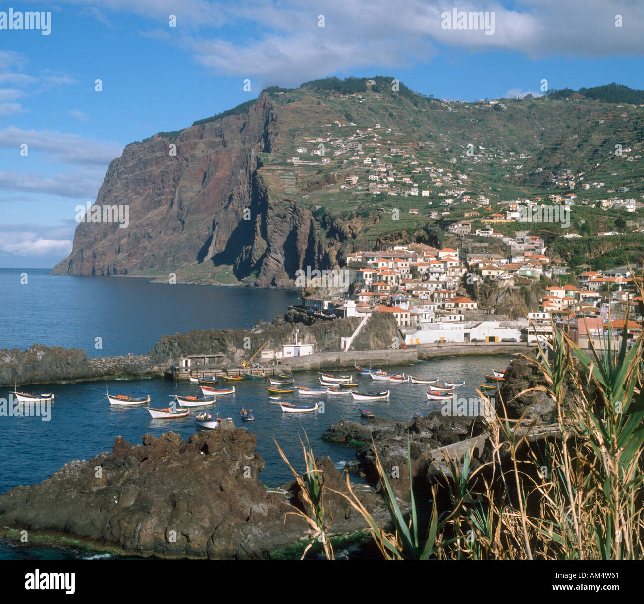 La côte sud, village de pêcheurs de Camara de Lobos (où Winston Churchill utilisé pour la peinture), Madeira, Portugal Banque D'Images