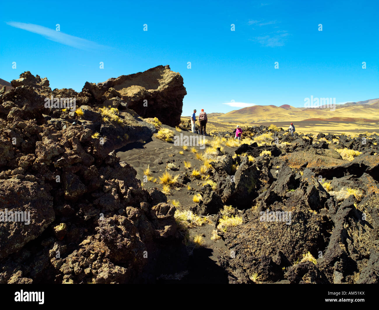 Un groupe de touristes avec leur guide dans la Réserve Provinciale Payunia, Malargue, Argentine Banque D'Images