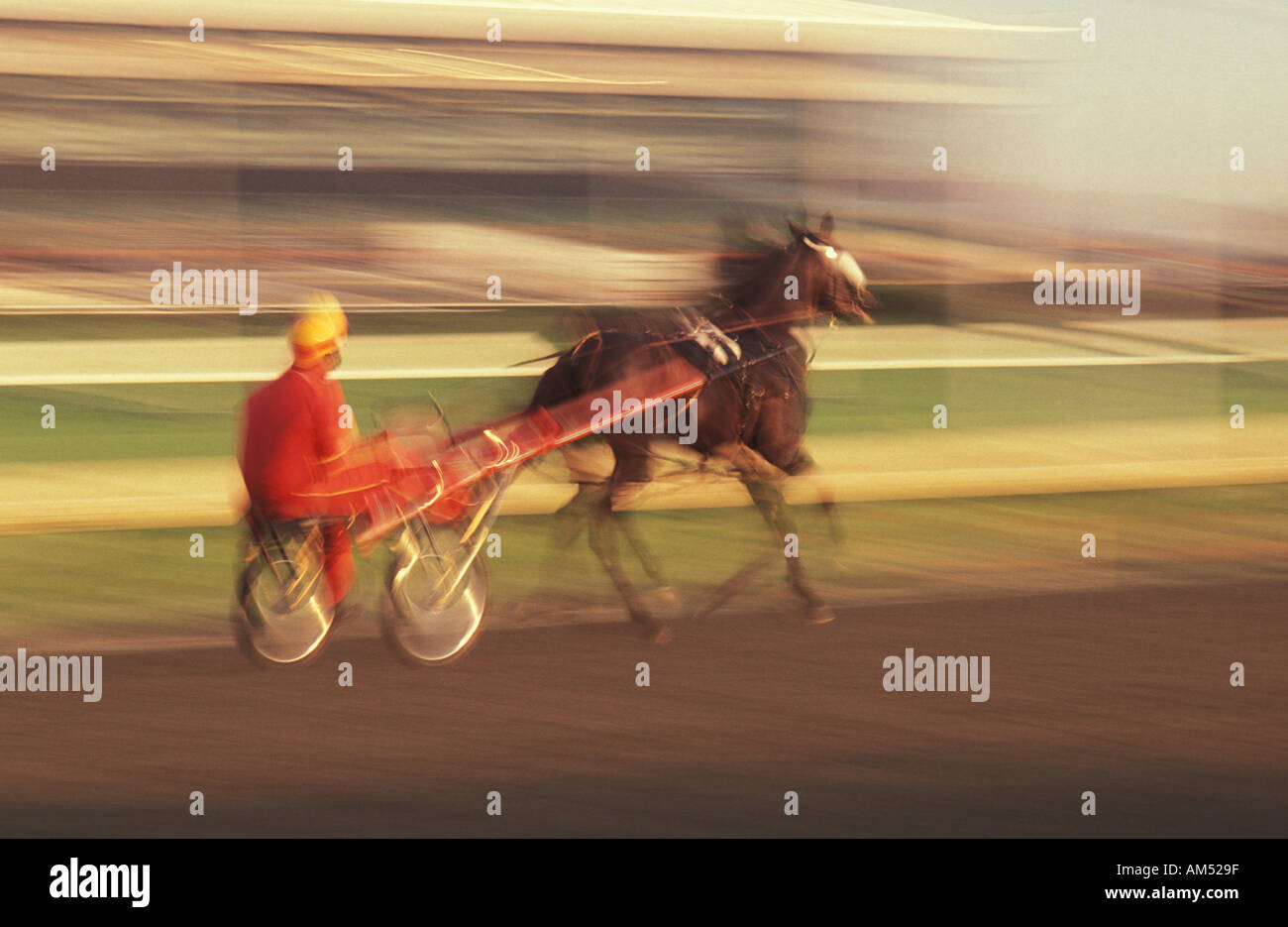 Trotting horse and jockey course autour de la piste pendant une course avec motion brouille Banque D'Images