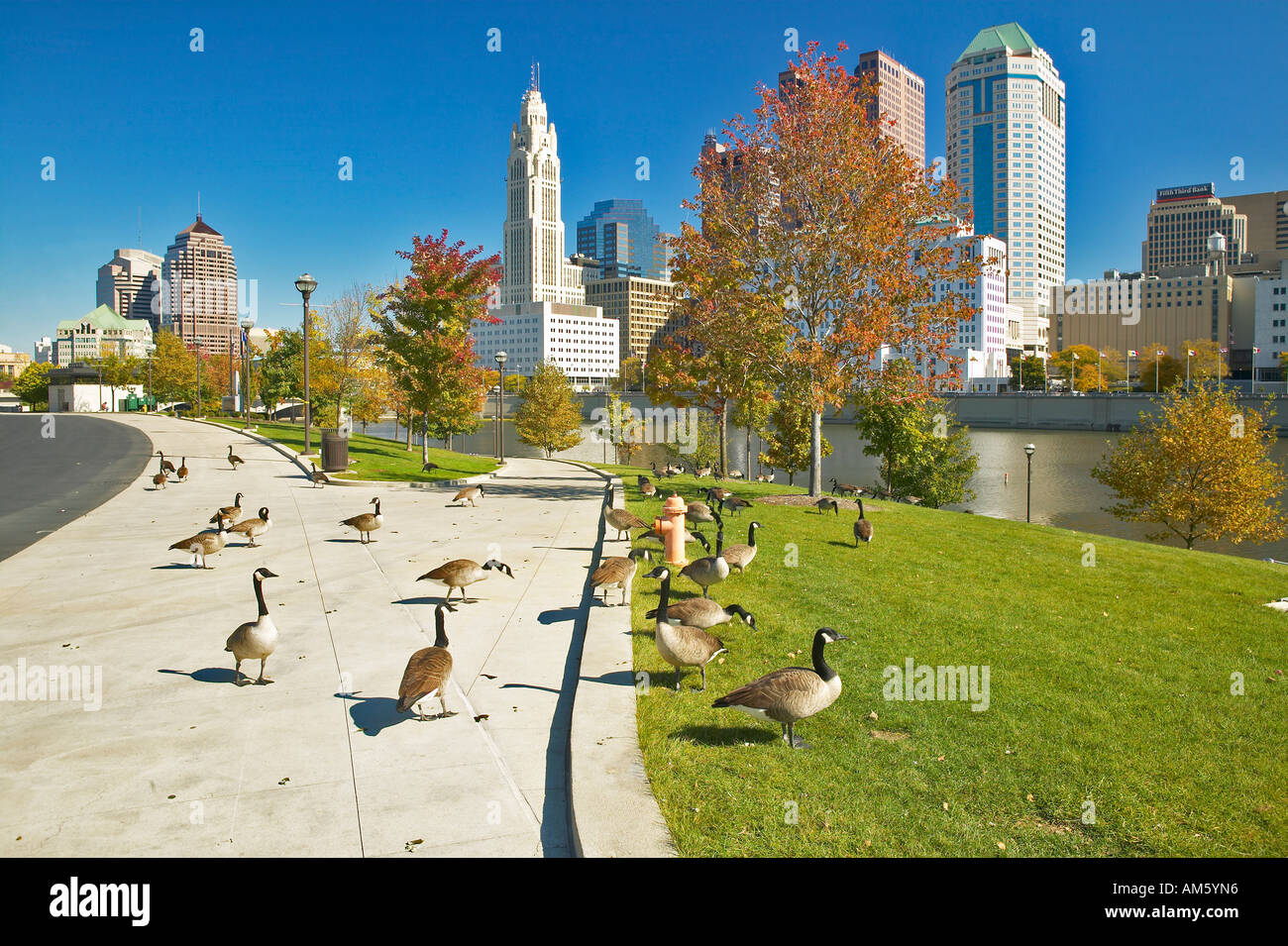 Les Bernaches du Canada et de la rivière Scioto et Columbus Ohio skyline Banque D'Images