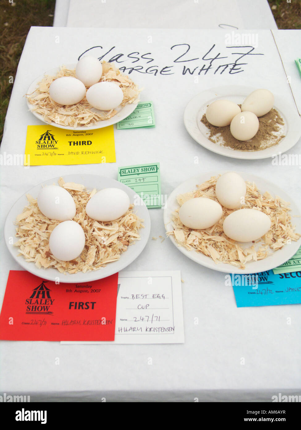 Lagre oeufs blancs sur l'affichage d'un concours à la classe agricole, Slaley Northumberland, England, UK Banque D'Images