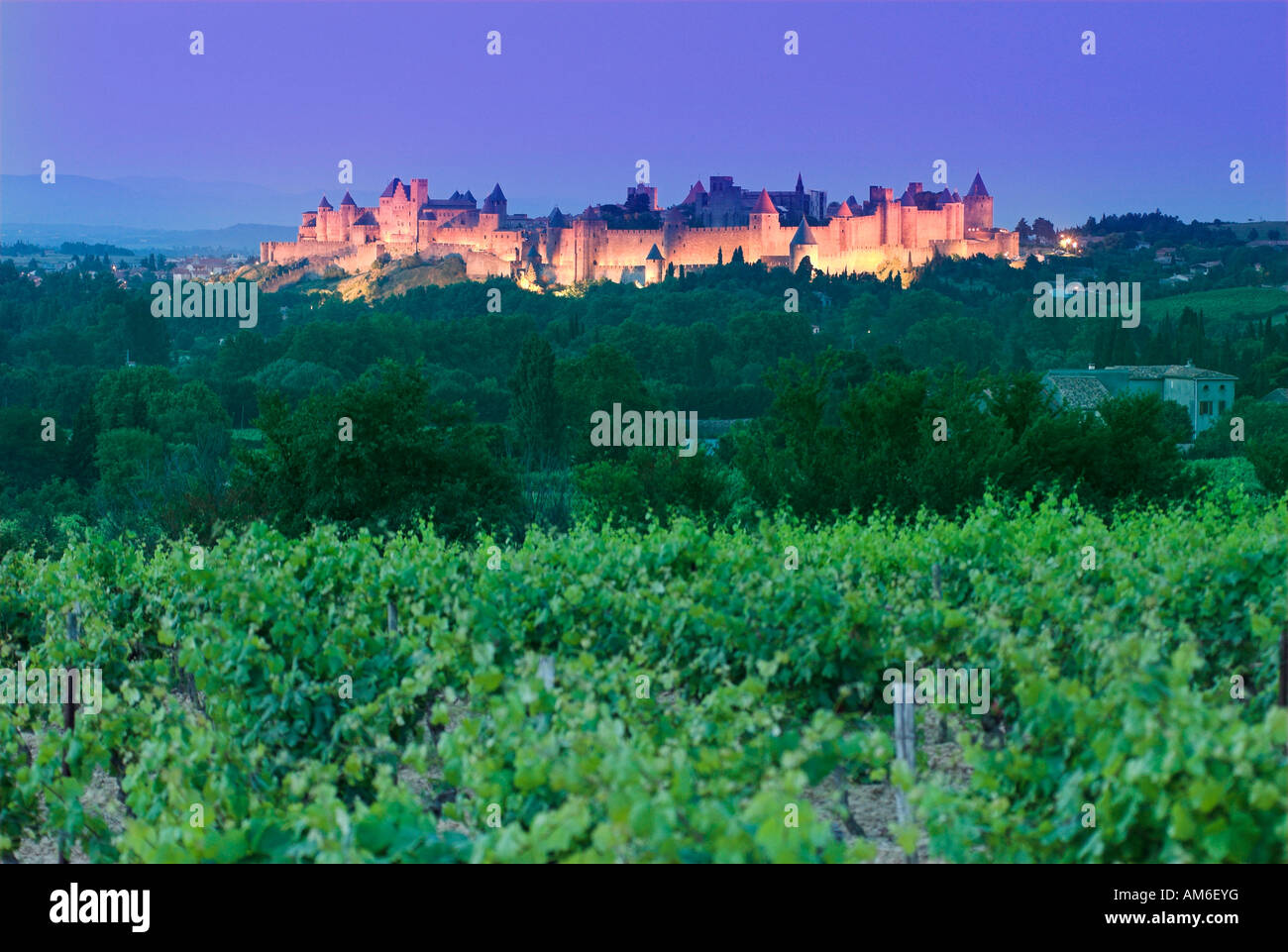 Ville fortifiée de Carcassonne, Aude, France, Lanquedoc Banque D'Images