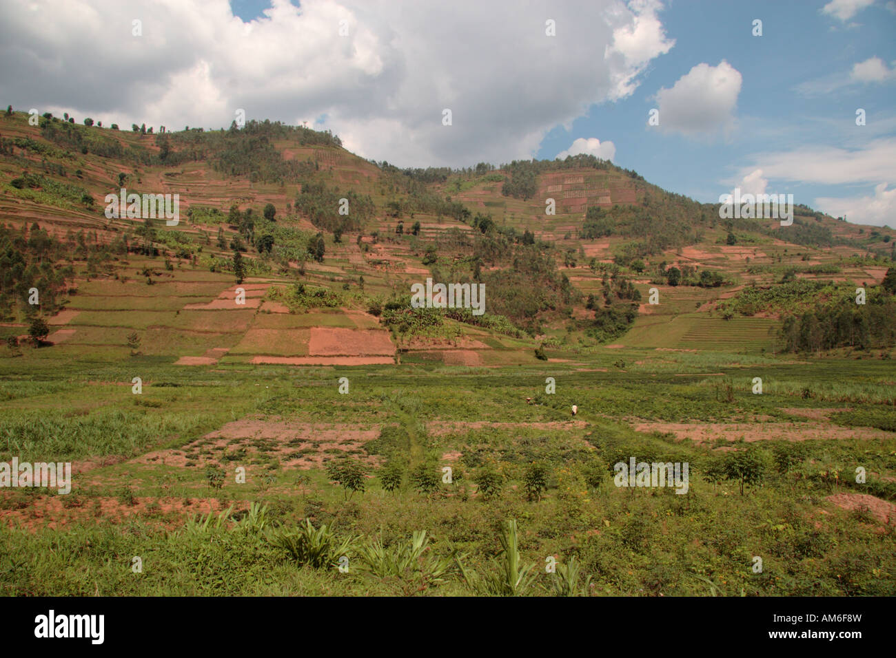 Colonie allemande afrique rwanda Banque de photographies et d’images à ...