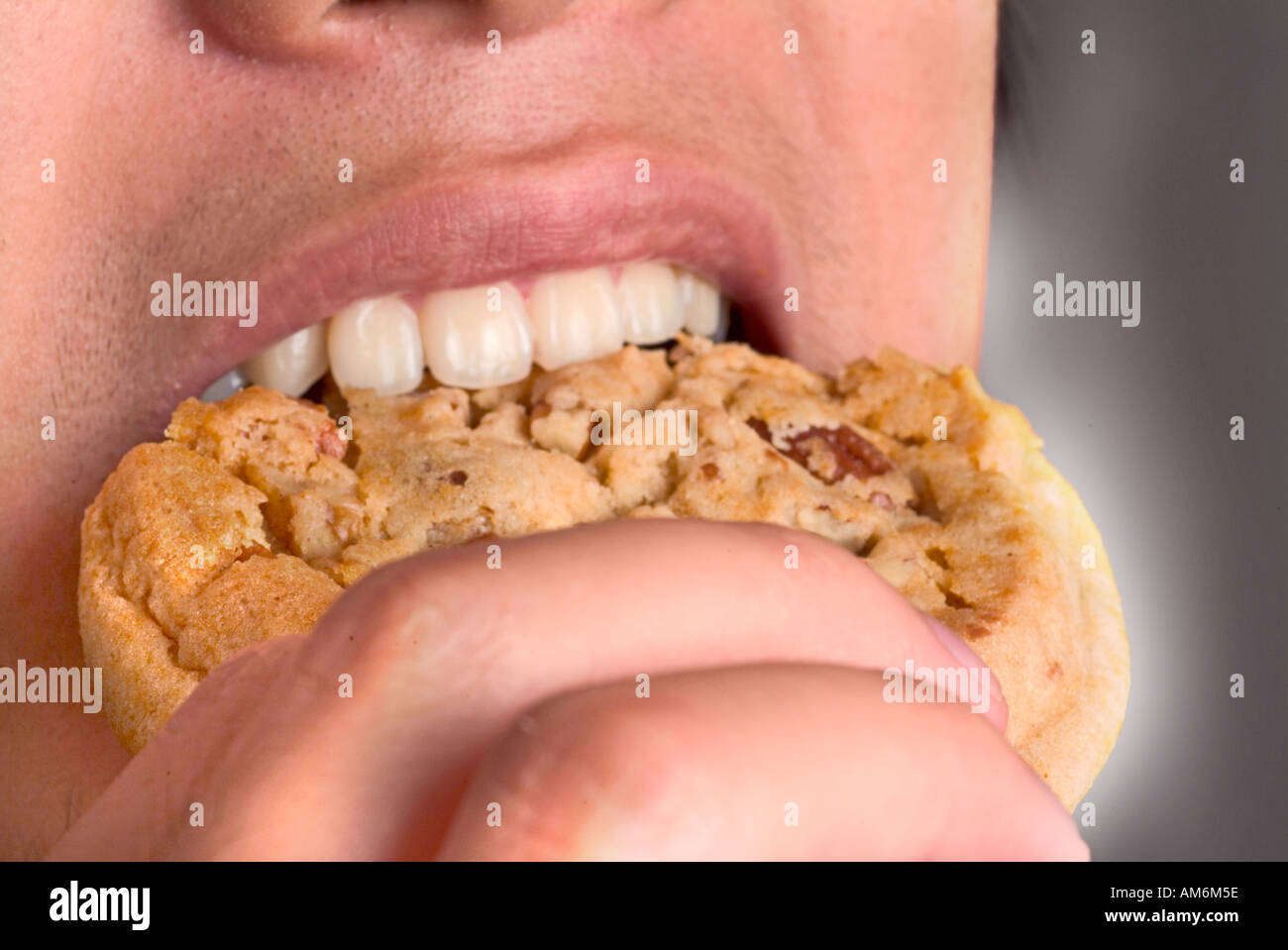 Close up of male rêve donc sur big chocolate chip cookie Banque D'Images