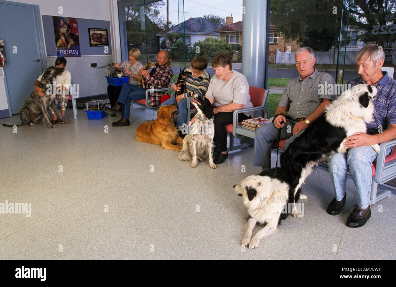 Les propriétaires et les animaux domestiques dans la zone d'attente de pays pratique vétérinaire, Warragul, Victoria, Australie Banque D'Images