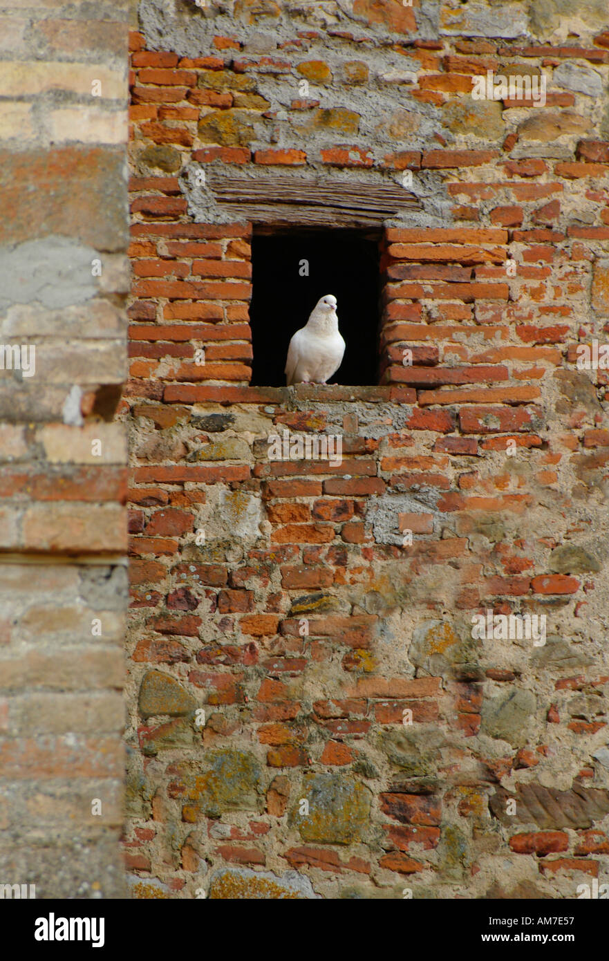 Italie Ombrie Citerna Banque D'Images