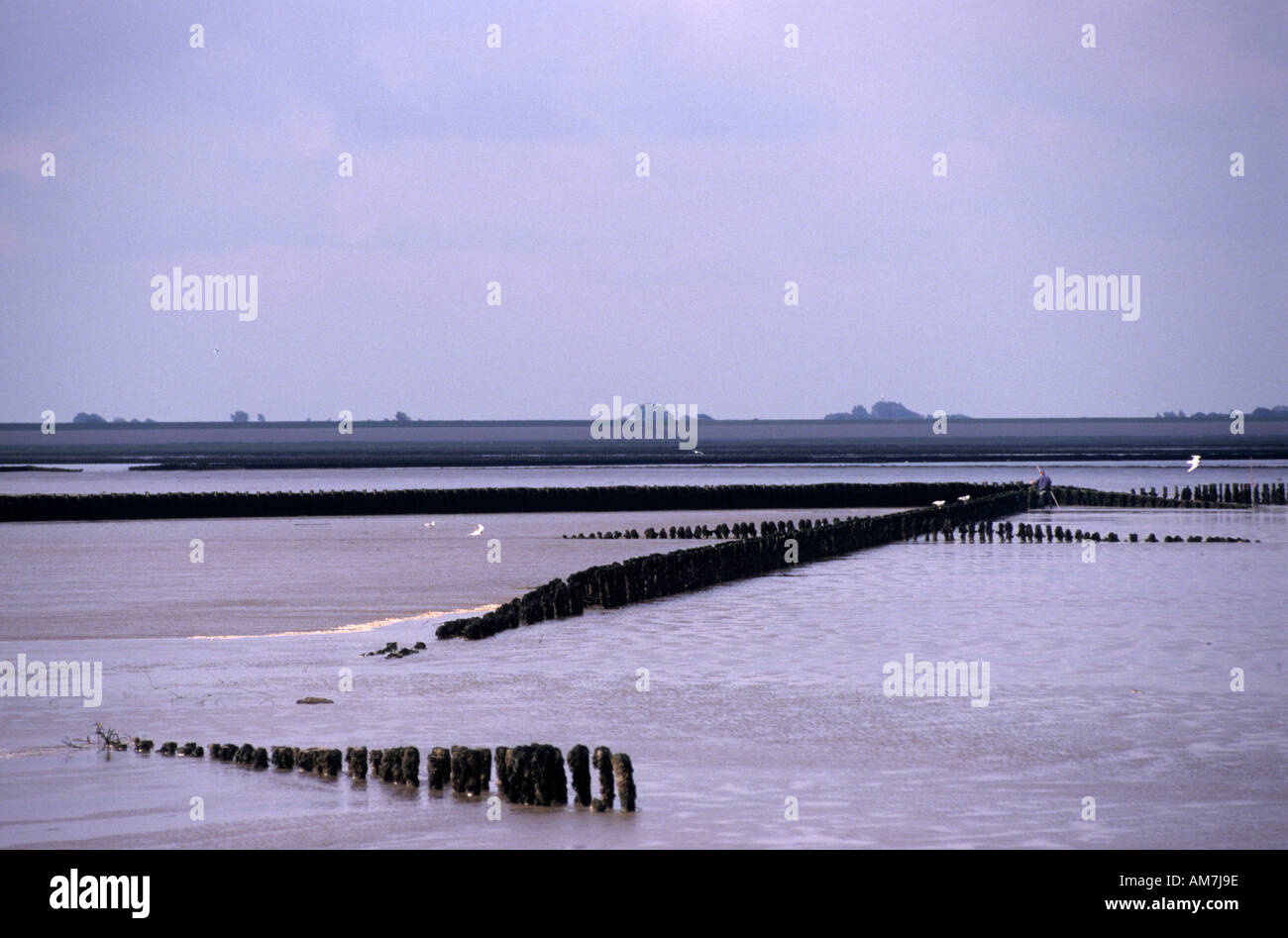 Pays-bas Friesland Bank digue du débit de crue barrage marée descendante Banque D'Images