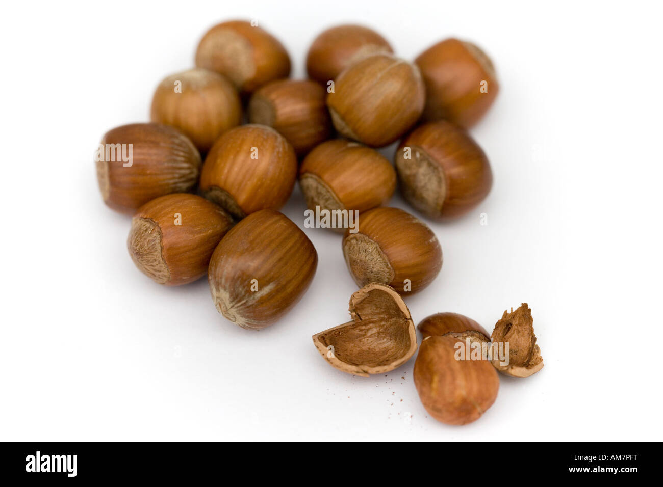 Les noisettes sur un fond blanc. Banque D'Images
