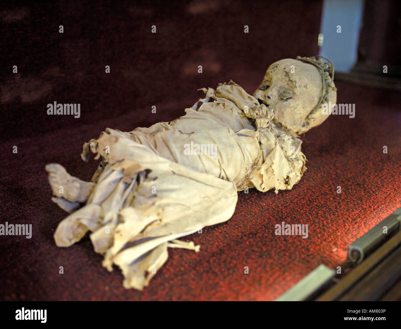 Un mignon petit enfant momifié établit endormis dans le musée des momies au Mexique. Banque D'Images