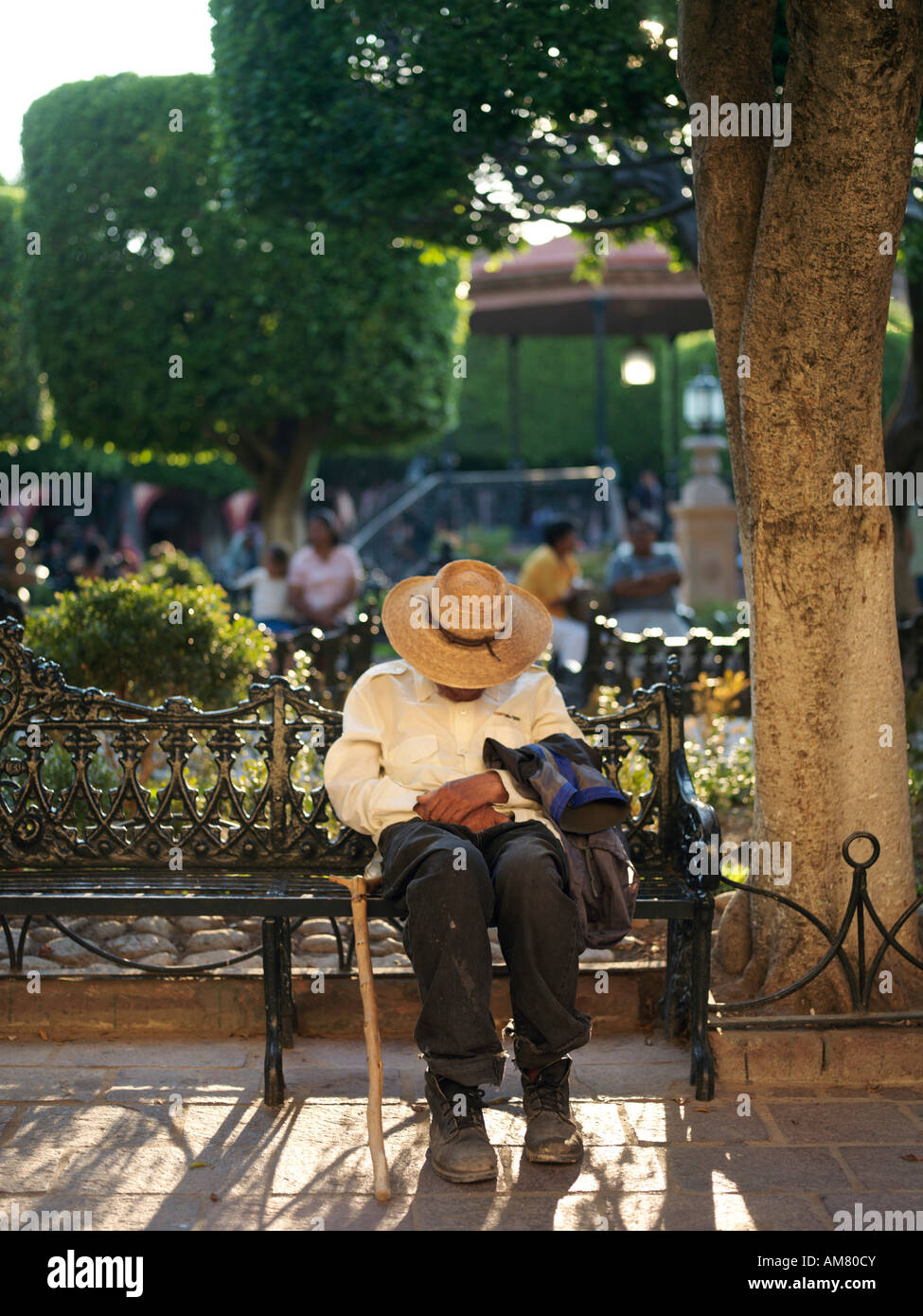 Un vieil homme avec un chapeau et canne à sucre s'endort sur un banc de parc en El Jardin central Plaza Banque D'Images