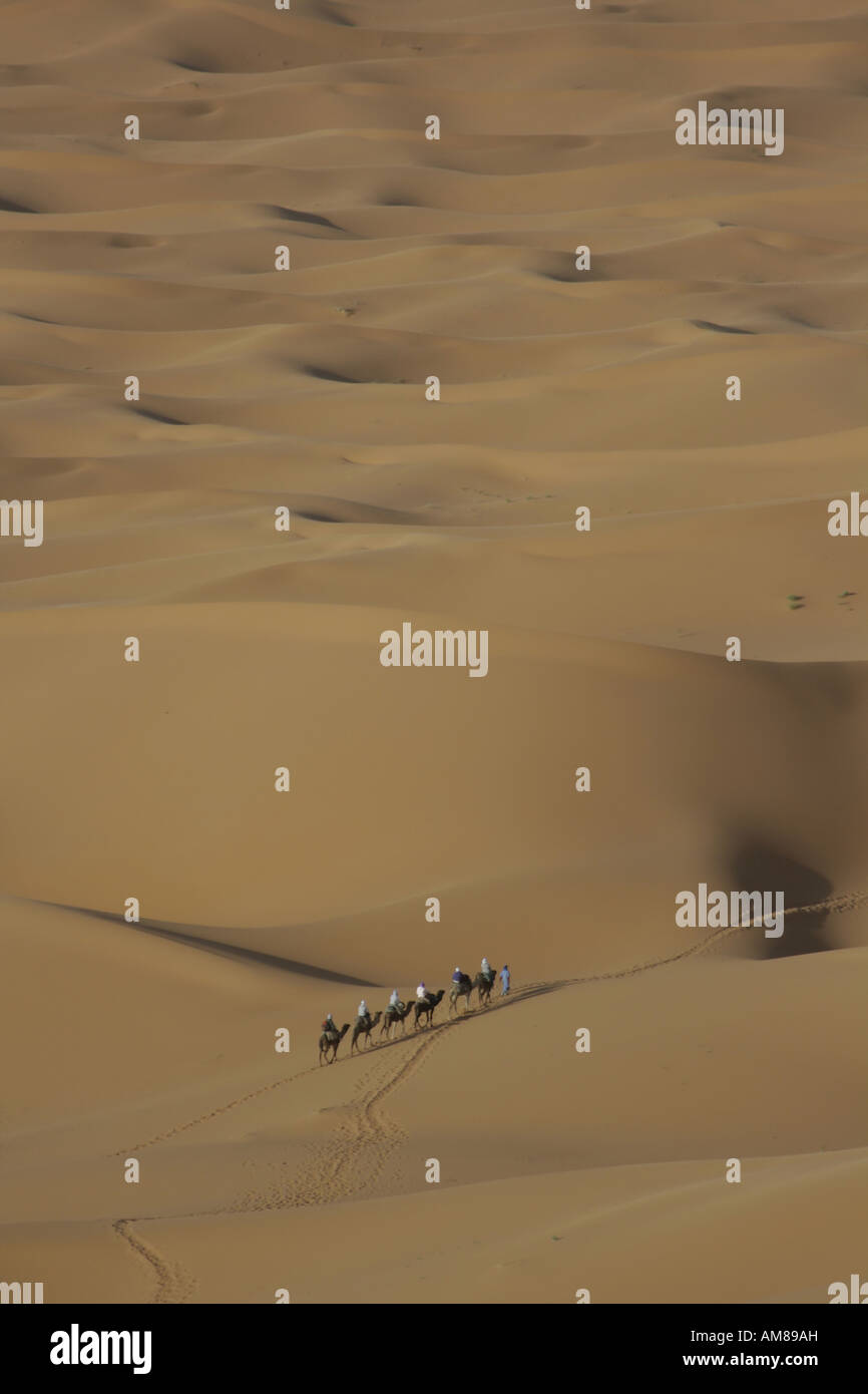 Caravane de dromadaires dans le désert, Erg Chebbi, Maroc Banque D'Images