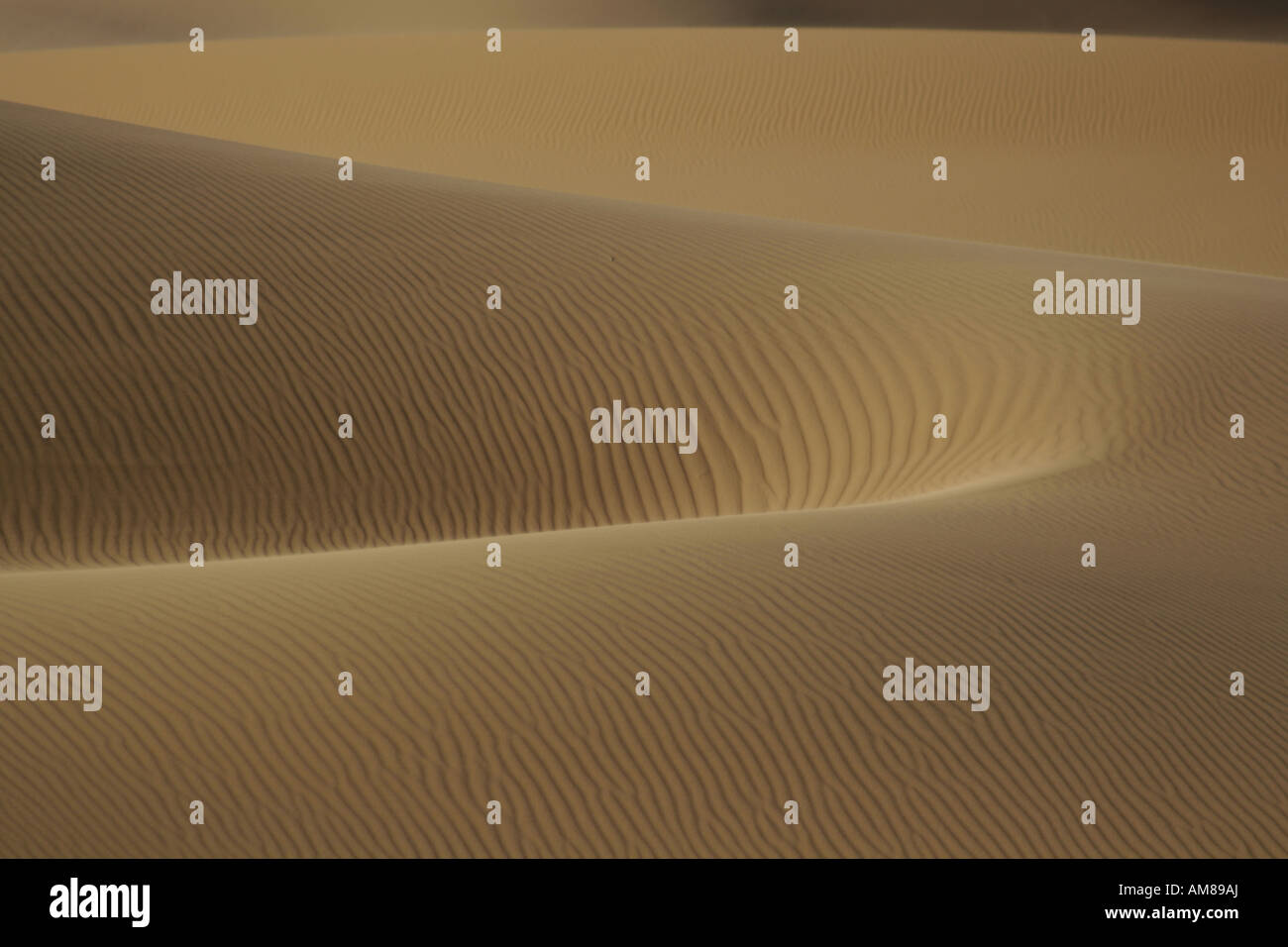 Dunes de sable, façonnée par le vent, Erg Chebbi, Maroc Banque D'Images