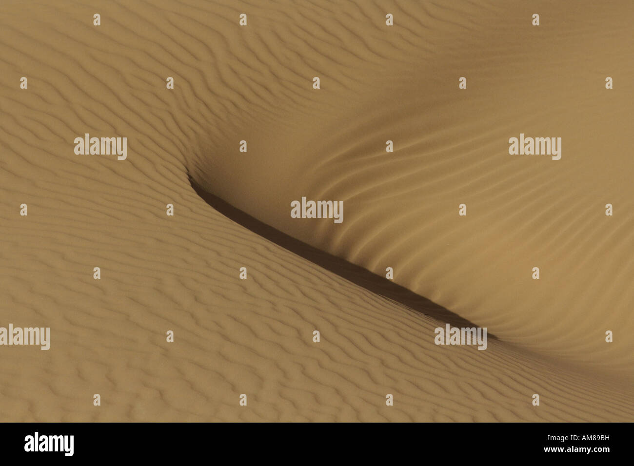 Dunes de sable façonné par le vent, Erg Chebbi, Maroc Banque D'Images