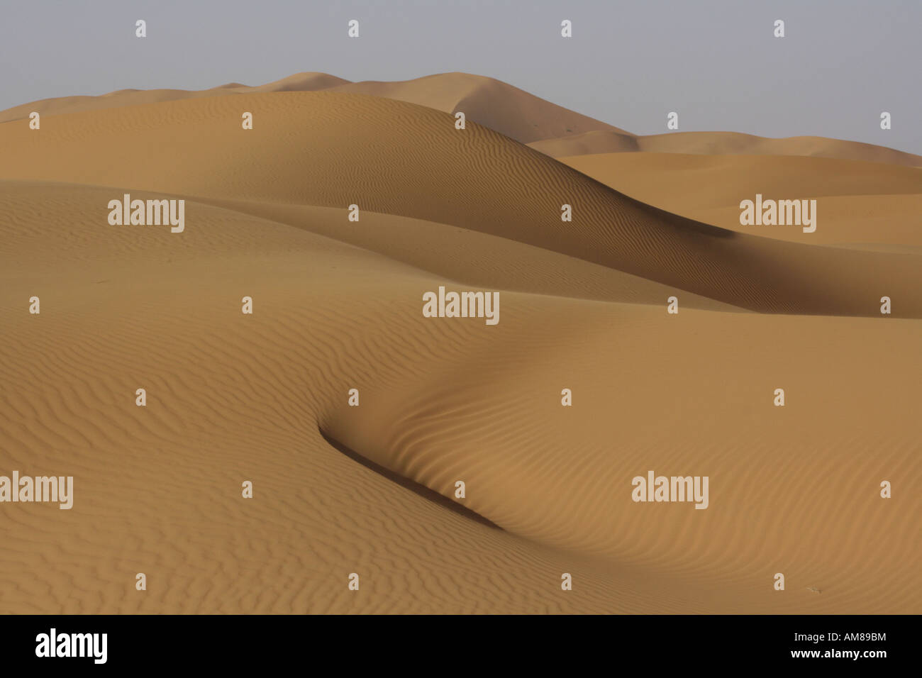 Dunes de sable façonné par le vent, Erg Chebbi, Maroc Banque D'Images