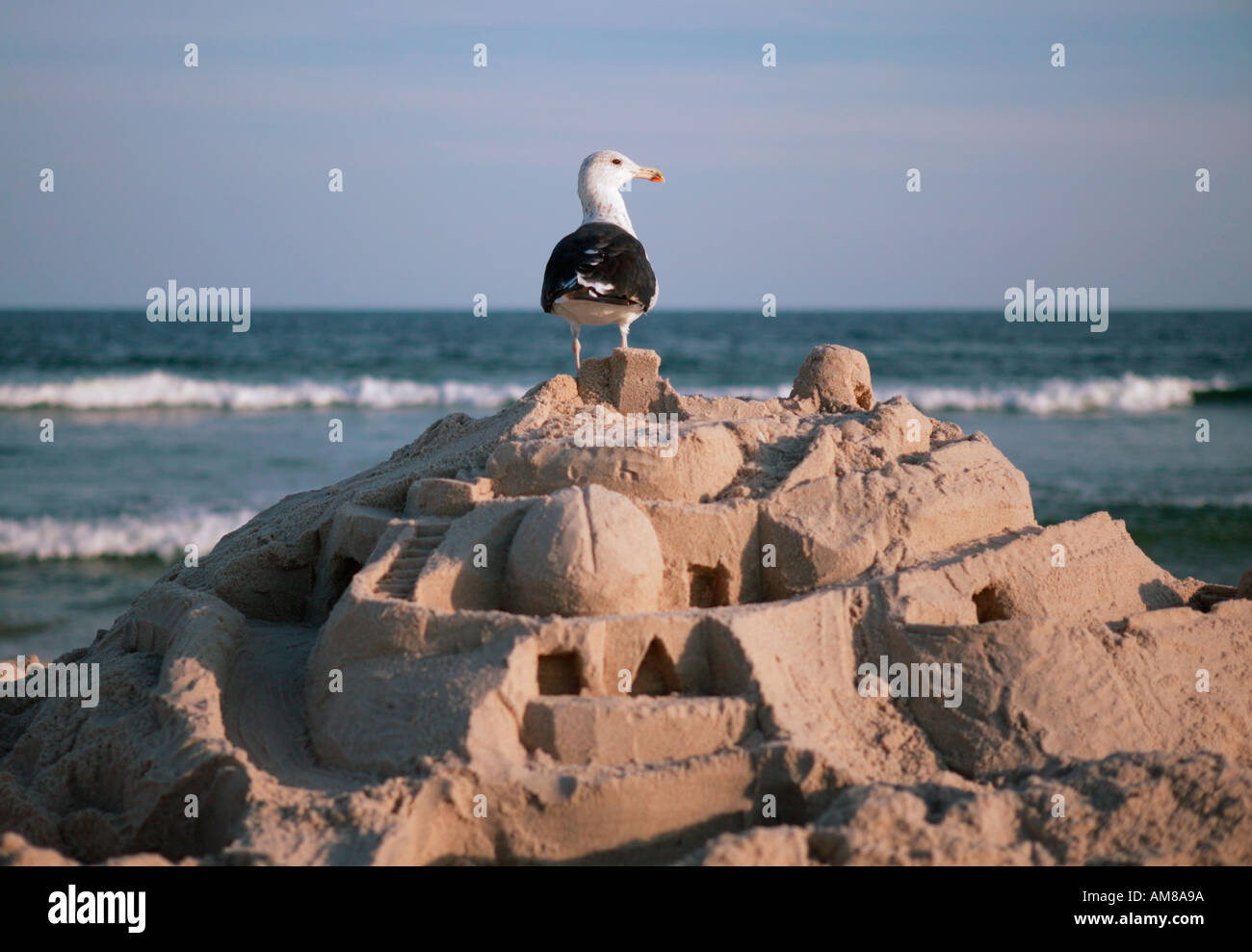 Debout sur des oiseaux de sable château Jones Beach Long Island New York USA Banque D'Images