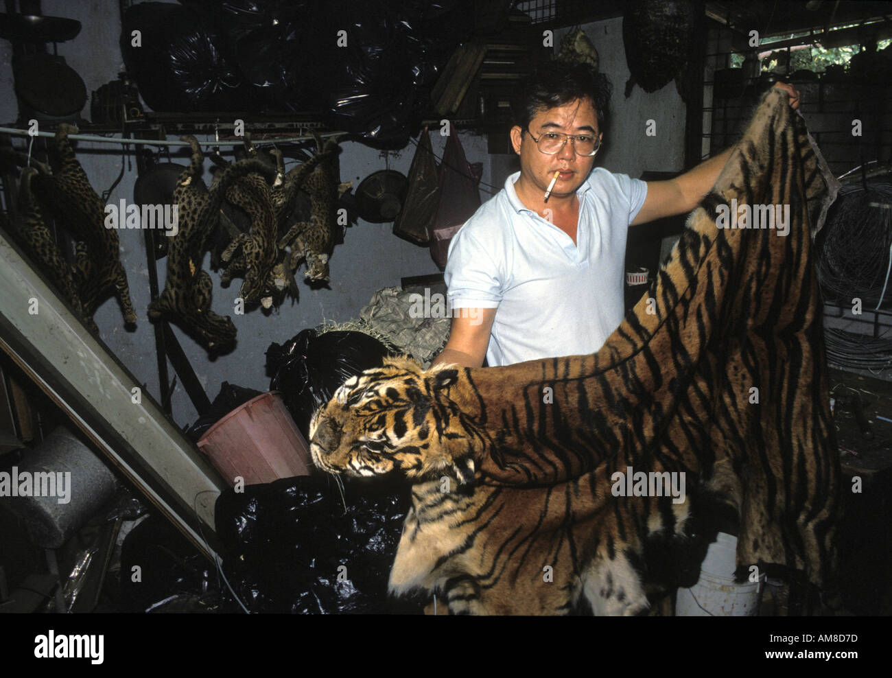 Peaux de léopards assombries dans la peau d'un trader de Singapour s shop Banque D'Images