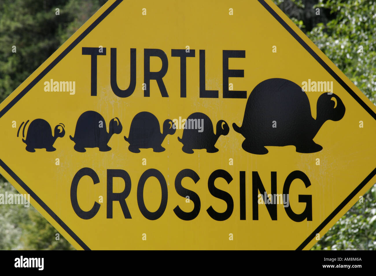 Turtle Crossing road sign Banque D'Images