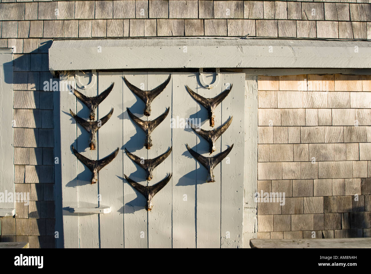 Marina rustique shack avec queue de poisson afficher sur la porte de l'Étang MA Cape Cod Taylors Banque D'Images