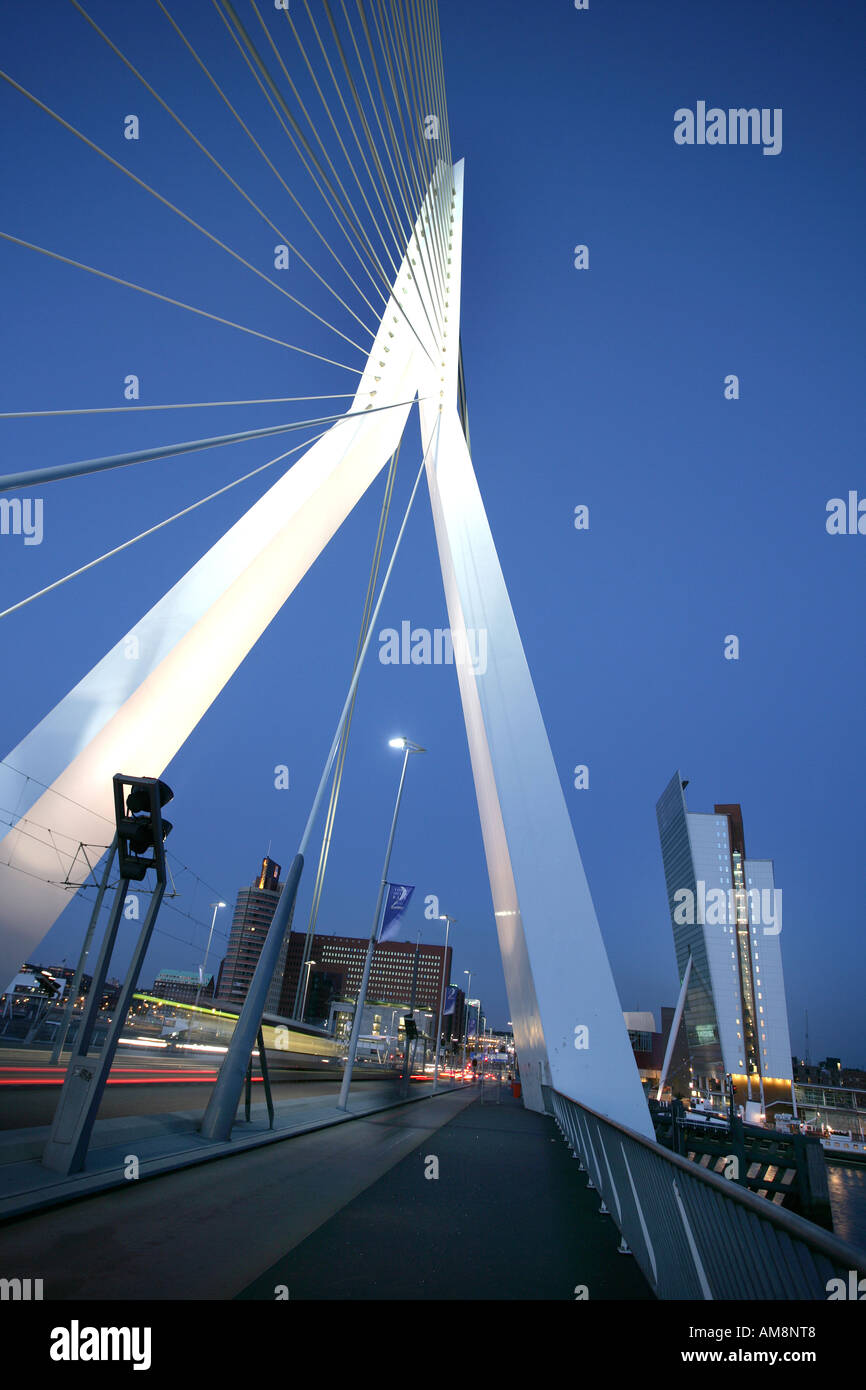 La NLD, Pays-Bas, Rotterdam : Erasmusbruk, pont sur la rivière Nouvelle Meuse, architecte Ben van Berkel Banque D'Images