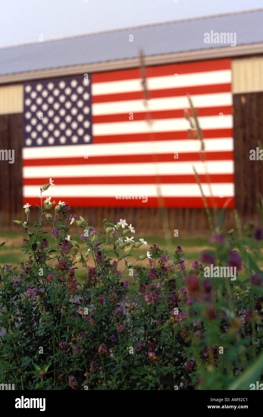 Drapeau américain sur Barn Massachusetts USA Banque D'Images