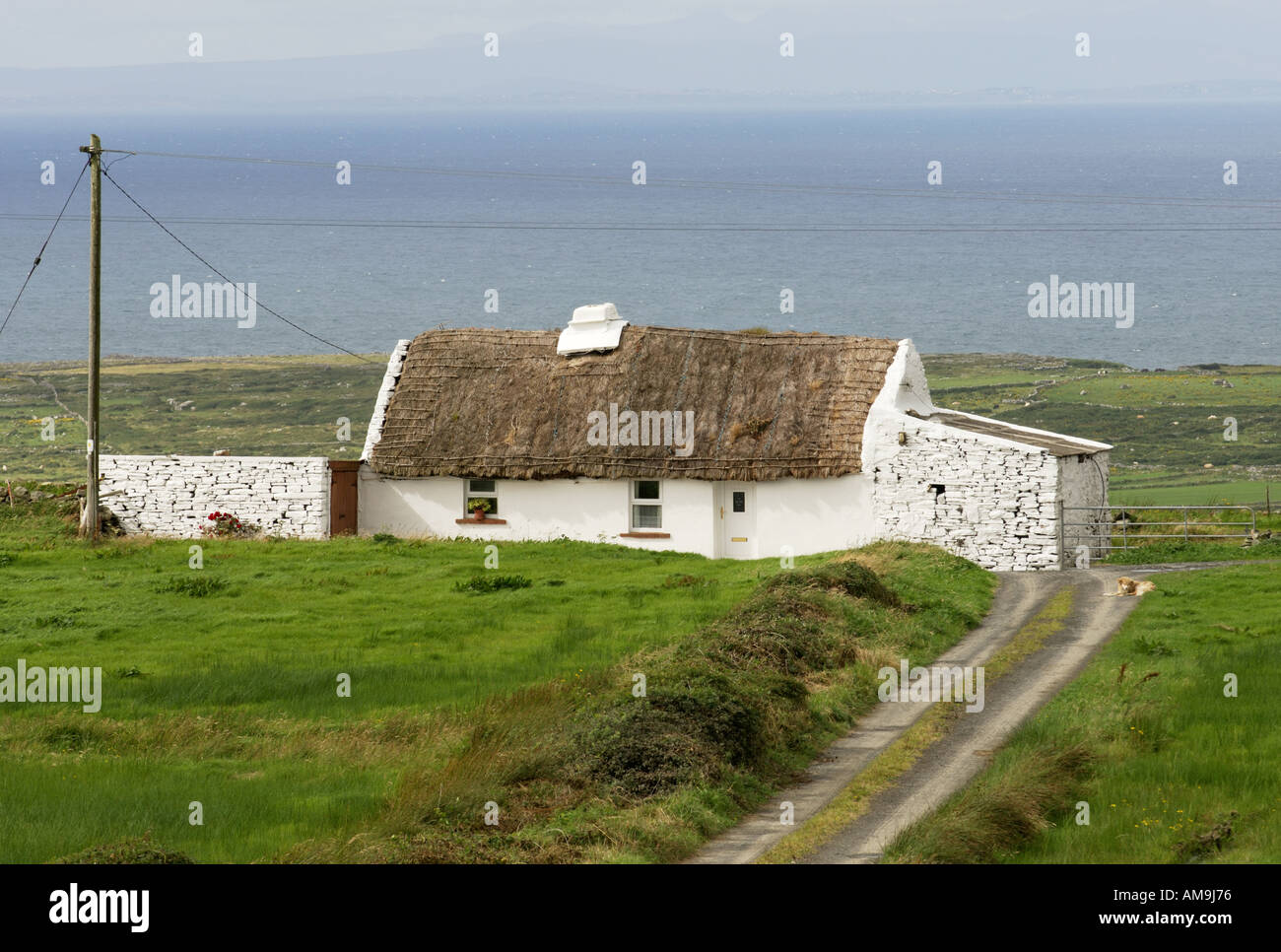 Chalet traditionnel irlandais au toit de chaume près de Doolin et des falaises de Moher. Comté de Clare, Irlande Banque D'Images