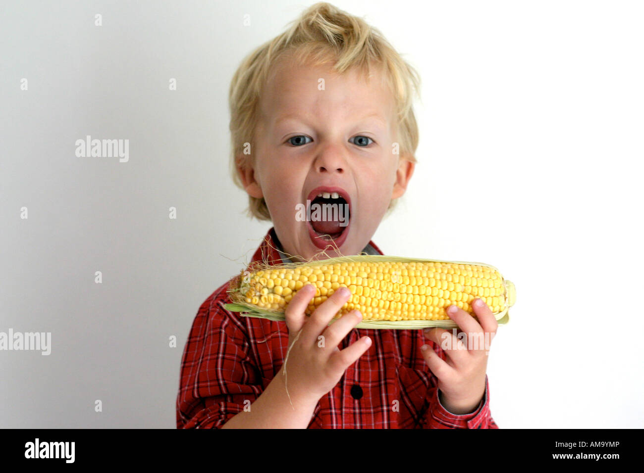 Boy Eating corn sucré Banque D'Images