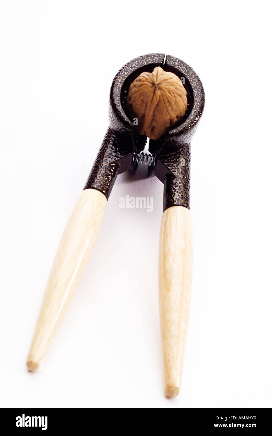 Casse-noisette avec noyer, close-up Banque D'Images