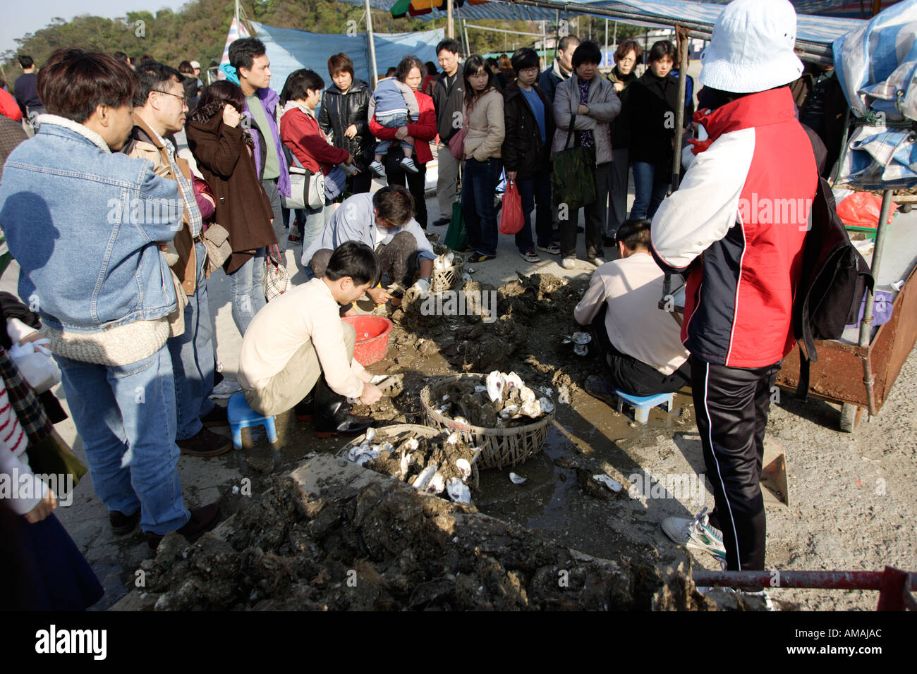 Un agriculteur est d'ouvrir les coquilles des huîtres. Les huîtres seront vendus aux restaurants et magasins d'aliments de la mer (Lau Fau Shan) Banque D'Images