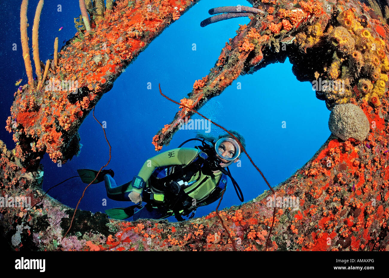 Scuba Diver sur l'épave Hilma Hooker Bonaire Antilles Mer des Caraïbes Banque D'Images