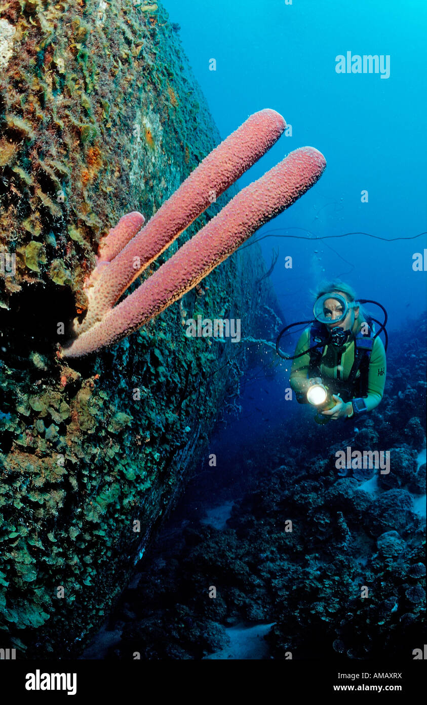 Scuba Diver sur l'épave Hilma Hooker Bonaire Antilles Mer des Caraïbes Banque D'Images