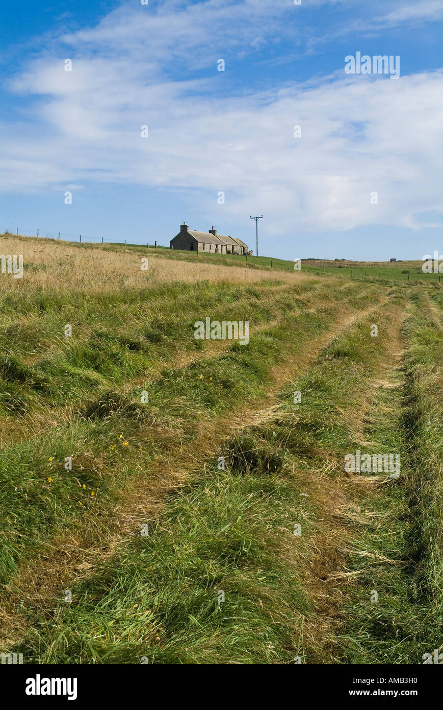 La récolte de l'herbe d'Ensilage dh UK séchage prêt pour la récolte et le cottage Orphir Orkney Banque D'Images