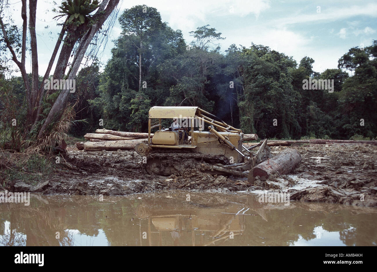 La destruction des forêts tropicales, l'Indonésie, Bornéo Banque D'Images