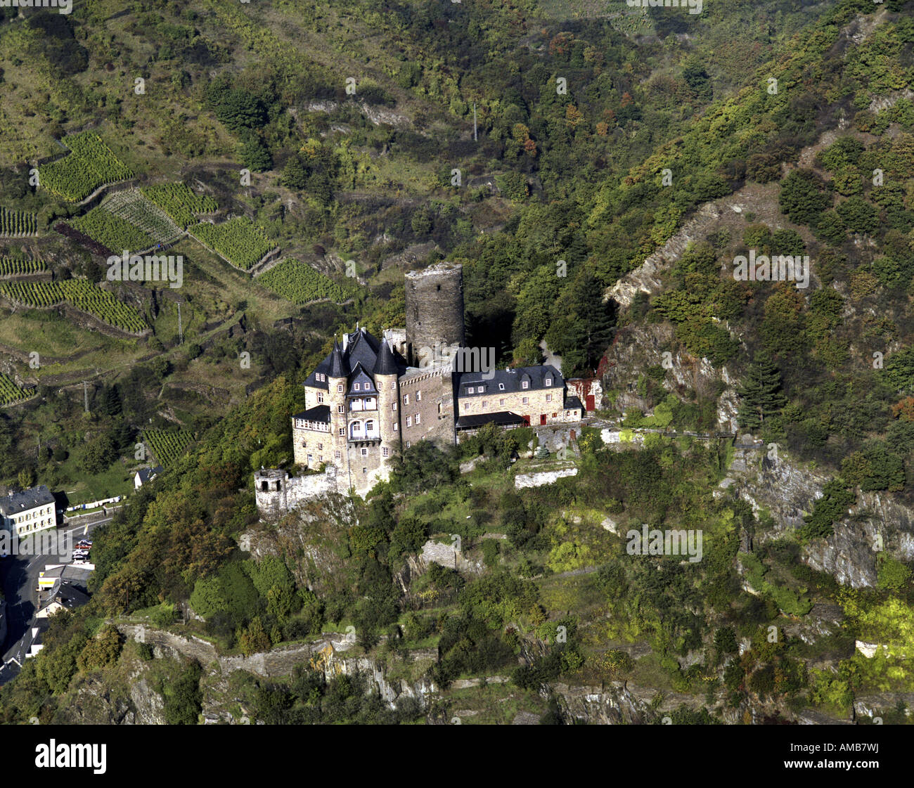 Château chat (Burg Katz), Allemagne, Rhénanie-Palatinat, St Goarshausen/Rhein Banque D'Images