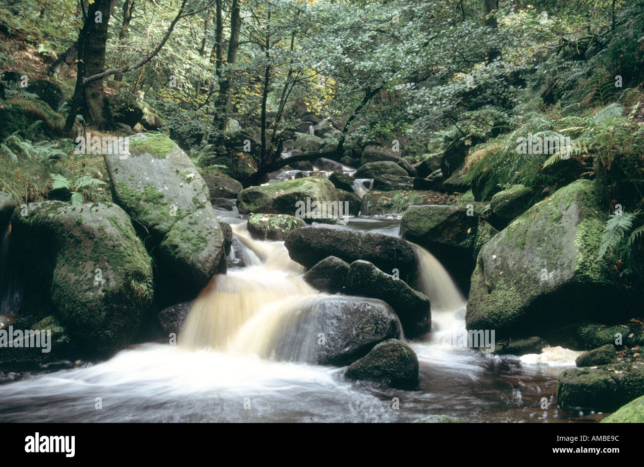 PADLEY DERBYSHIRE PEAK DISTRICT GORGE ENGLAND UK Banque D'Images