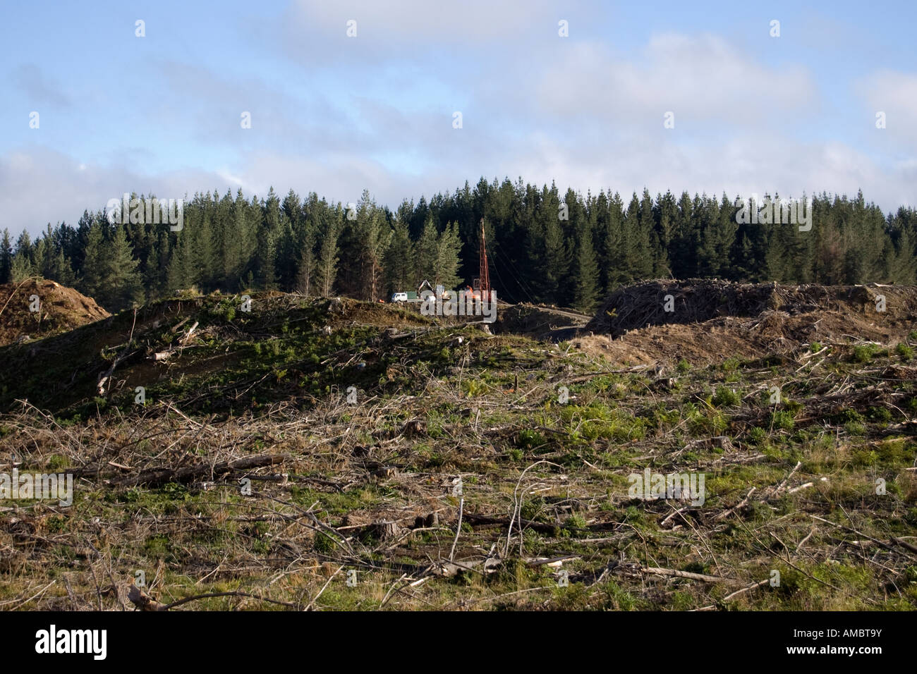 La déforestation Ohakune Nouvelle Zélande Banque D'Images