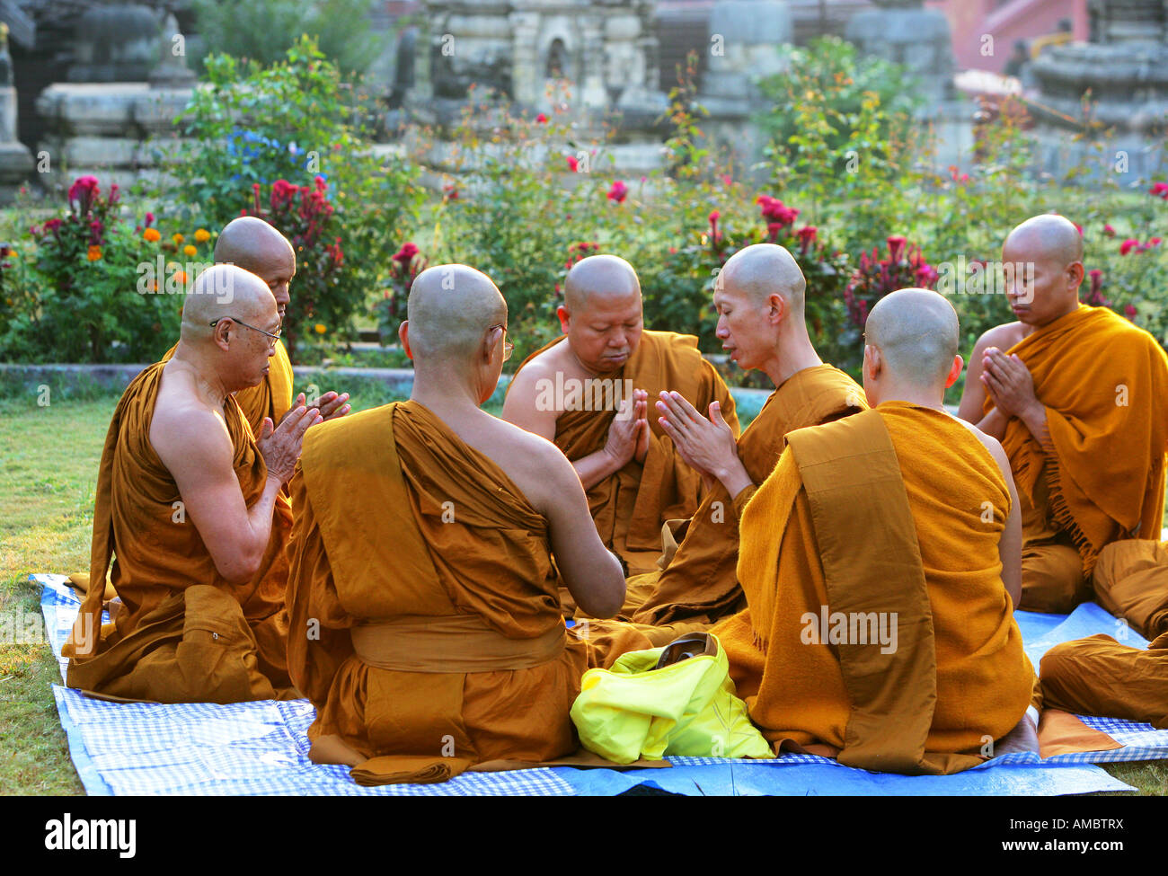 L'Inde, Bodhgaya : moines bouddhistes priant dans le jardin de Temple de la Mahabodhi, le lieu de l'Eveil du Bouddha Banque D'Images