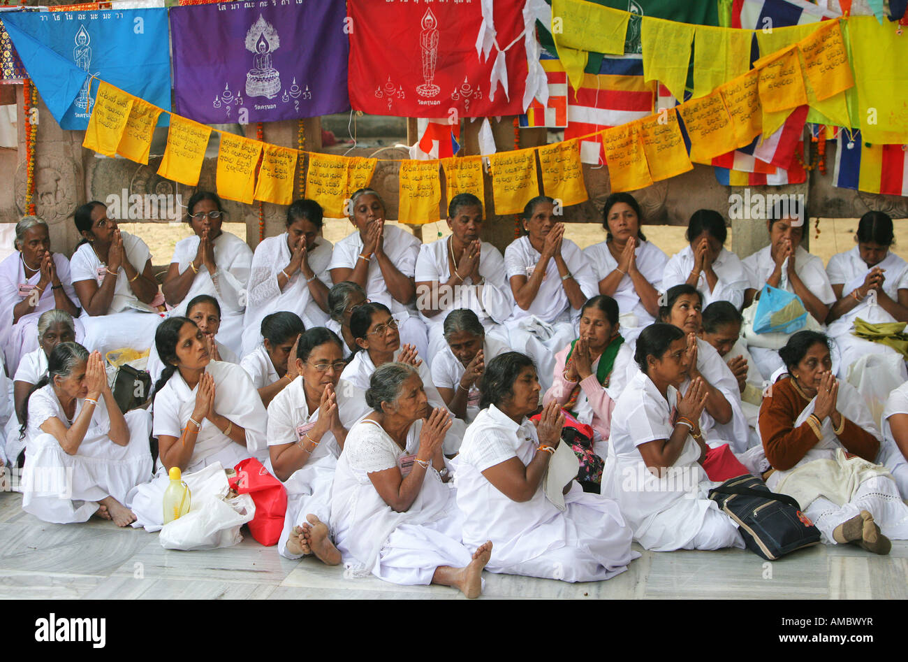 L'Inde, Bodhgaya : pèlerins bouddhistes priant sous l'arbre de la Mahabodhi Banque D'Images