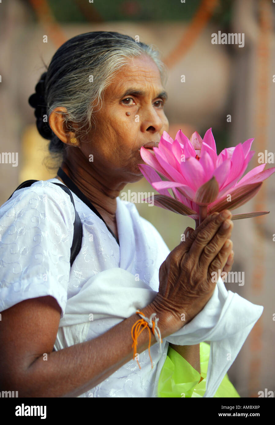 L'Inde, Bodhgaya : pèlerin bouddhiste avec des fleurs de lotus se rendant sur le site du temple de la Mahabodhi, le lieu de l'Eveil du Bouddha Banque D'Images