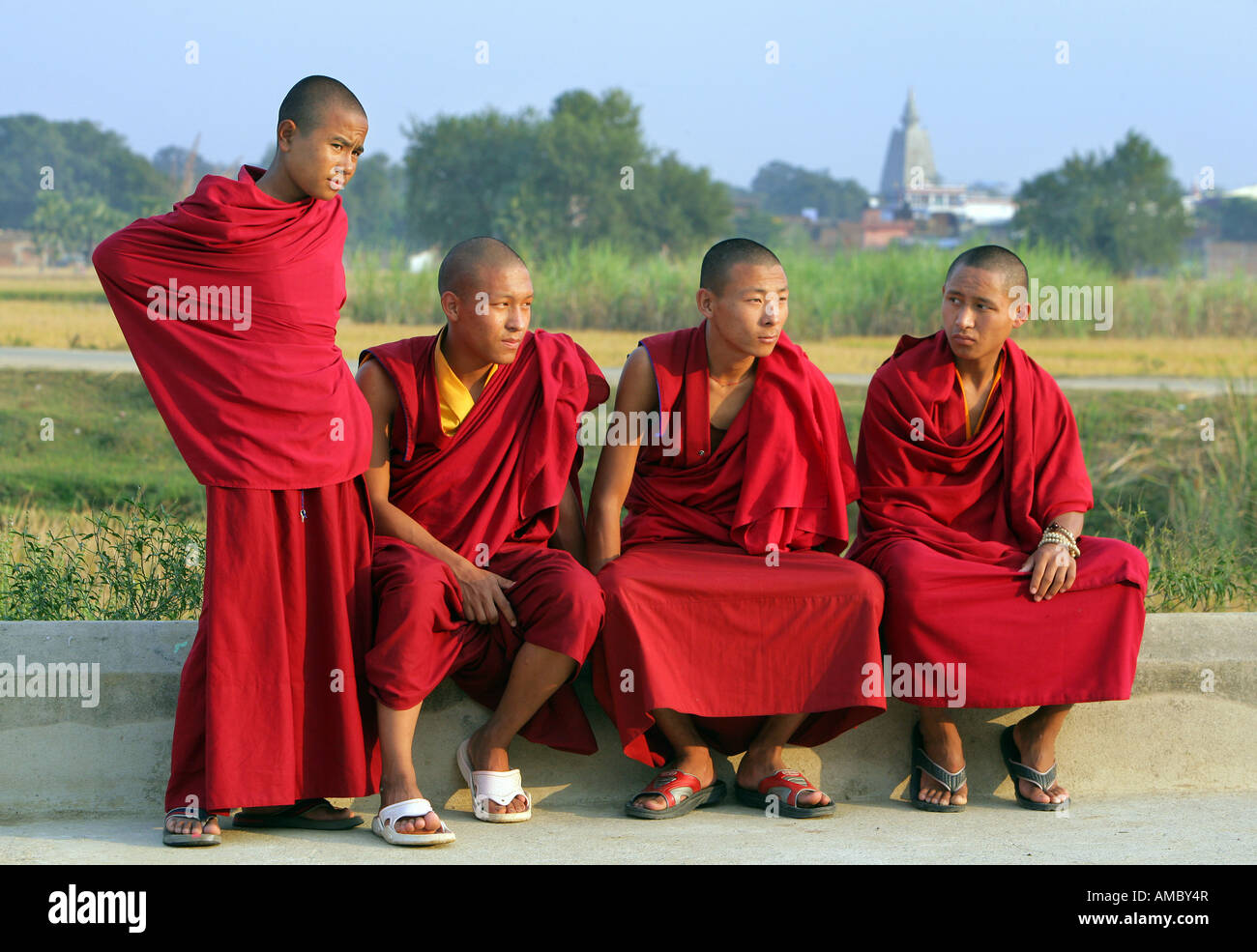 L'Inde, Bodhgaya : les jeunes moines bouddhistes, Temple de la Mahabodhi Bodhgaya, Inde, : les jeunes moines bouddhistes, Temple de la Mahabodhi, le lieu de t Banque D'Images